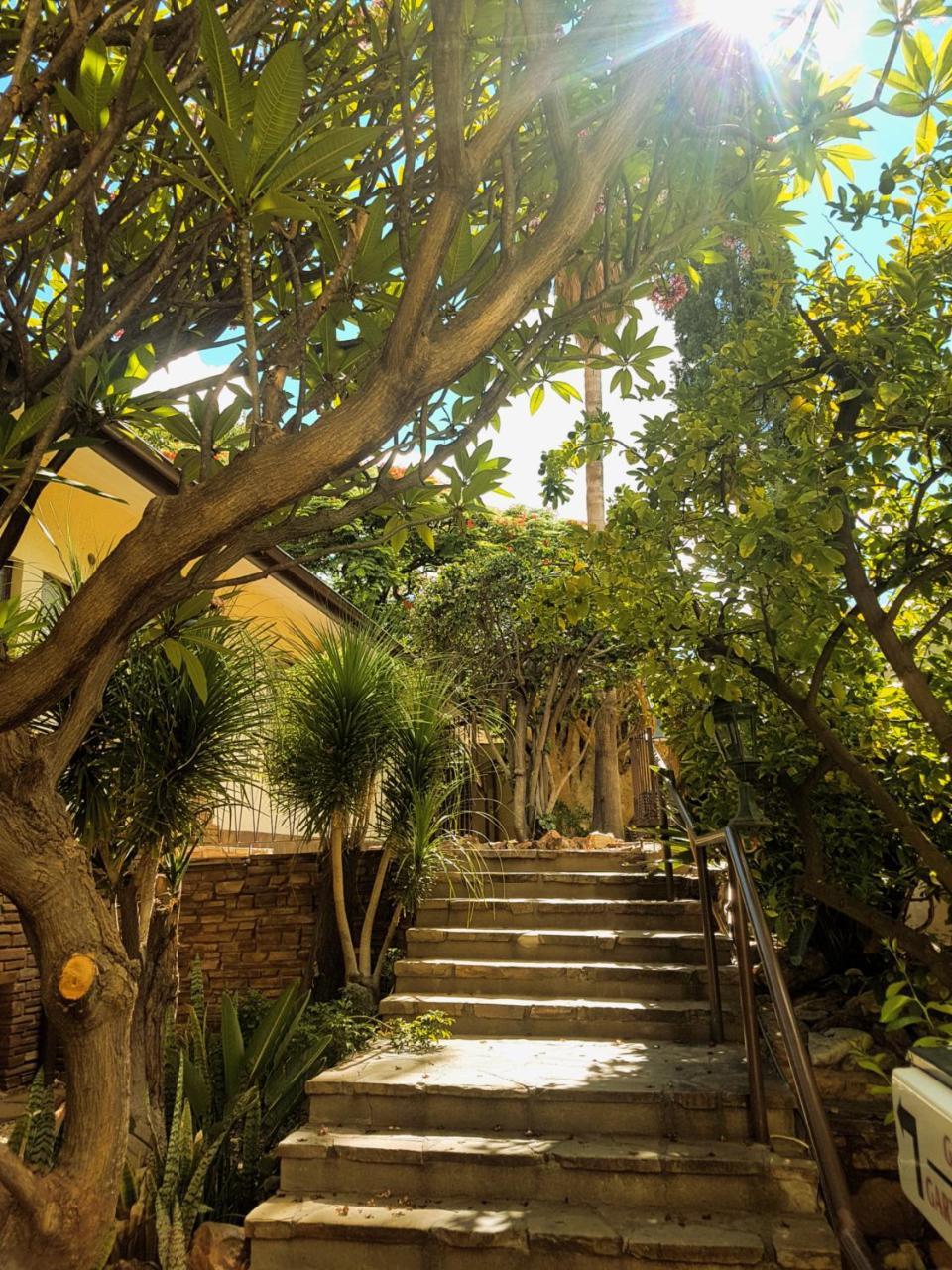Hotel Pension Steiner Βίντχουκ Εξωτερικό φωτογραφία